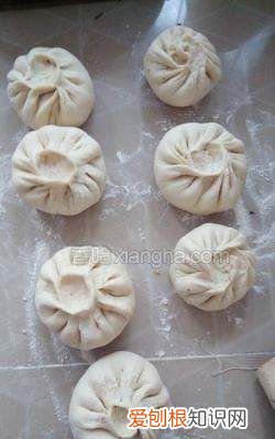 马齿苋包子的做法,马齿苋又称长寿菜包子怎么做才好吃