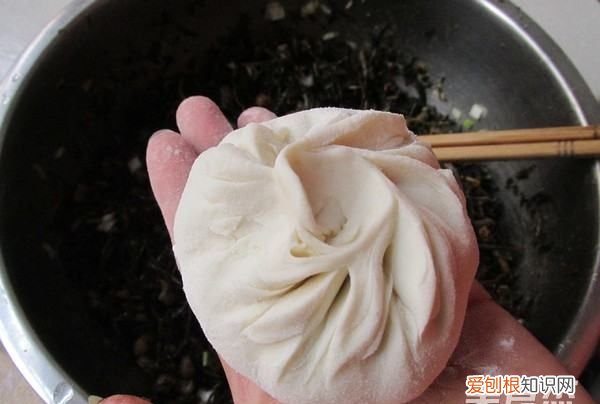马齿苋包子的做法,马齿苋又称长寿菜包子怎么做才好吃