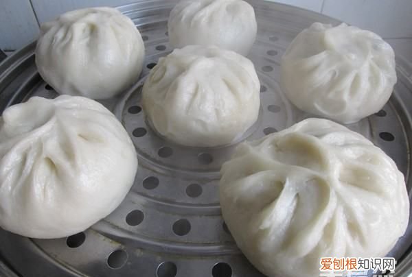 马齿苋包子的做法,马齿苋又称长寿菜包子怎么做才好吃