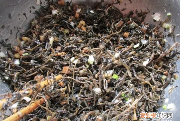 马齿苋包子的做法,马齿苋又称长寿菜包子怎么做才好吃