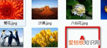 win7怎么找隐藏文件夹，win7显示隐藏文件选项在哪儿