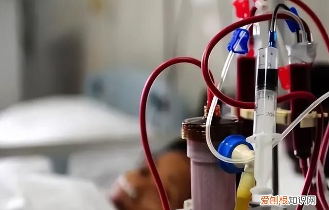 杨桃不适合什么样人吃 杨桃不适合哪些人吃呢