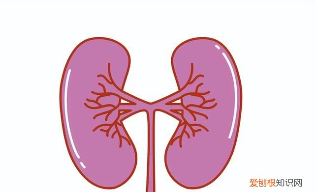 杨桃不适合什么样人吃 杨桃不适合哪些人吃呢