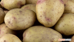土豆大量怎么保存不放冰箱不发芽,土豆怎么保存不发芽能放冰箱吗