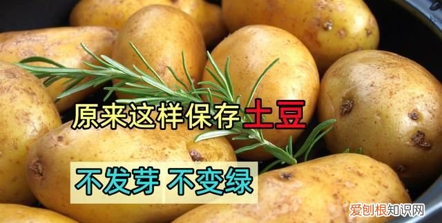 土豆大量怎么保存不放冰箱不发芽,土豆怎么保存不发芽能放冰箱吗