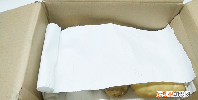 土豆大量怎么保存不放冰箱不发芽,土豆怎么保存不发芽能放冰箱吗