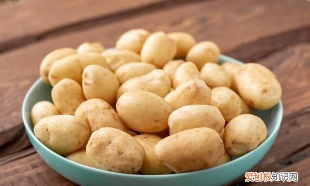 土豆大量怎么保存不放冰箱不发芽,土豆怎么保存不发芽能放冰箱吗