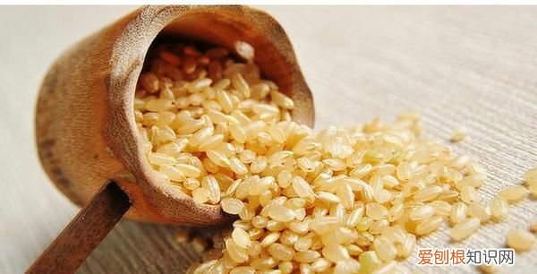 发芽的五种食物可以吃,发芽的土豆把芽弄掉可以吃了吗