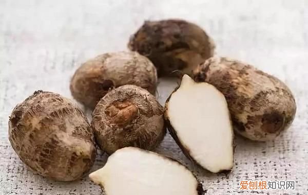 发芽的五种食物可以吃,发芽的土豆把芽弄掉可以吃了吗