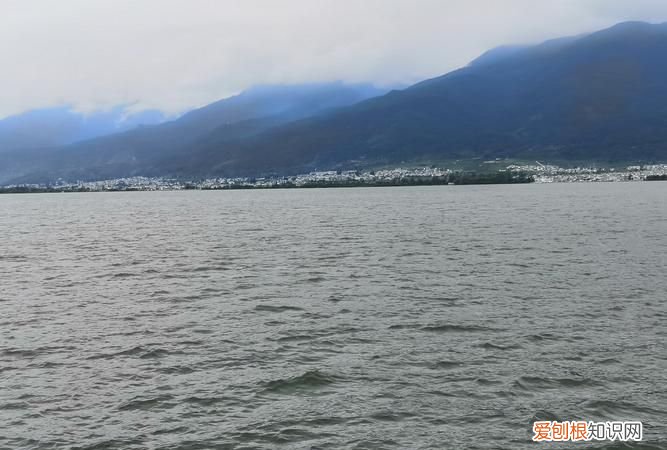 茫茫大梦中下一句