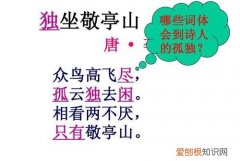 众鸟高飞尽的下一句