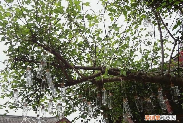 邛崃美食推荐 排行榜,邛崃美食推荐排行榜