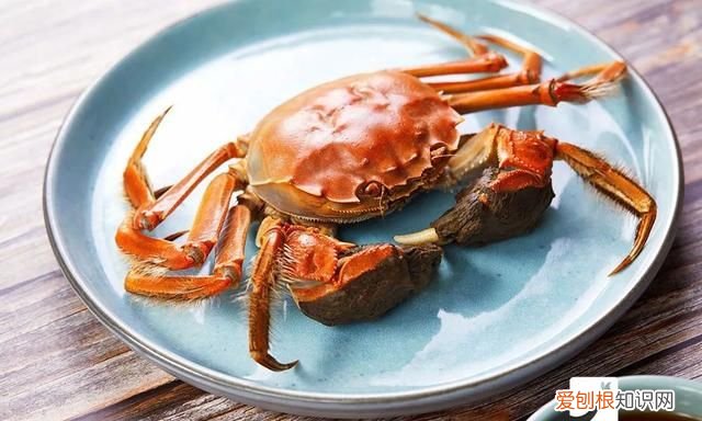 保存螃蟹不要直接放冰箱 螃蟹怎样保存才能放时间长点