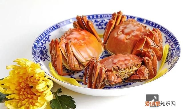 保存螃蟹不要直接放冰箱 螃蟹怎样保存才能放时间长点