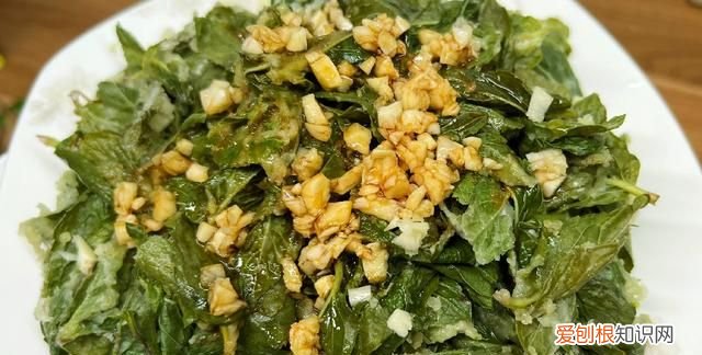 关于薄荷的好吃食物