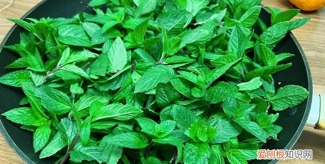 关于薄荷的好吃食物