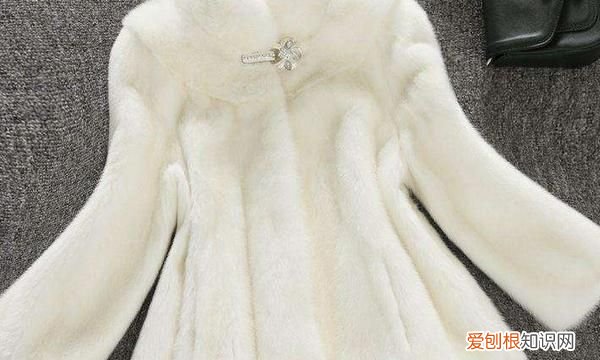 貂毛自己怎么清洗，浅色的貂皮大衣脏了自己在家怎么能清洗掉