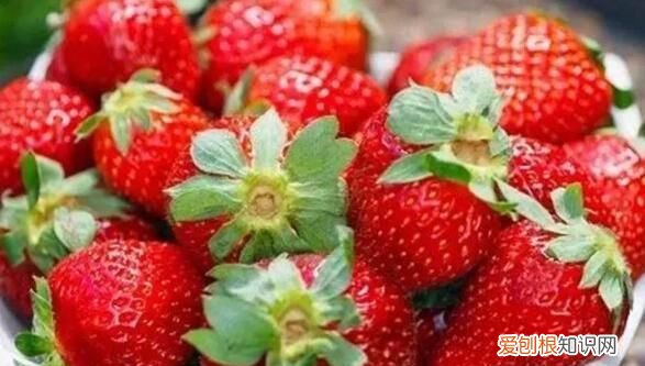 冬季新鲜水果有哪些,东北冬天成熟水果有哪些