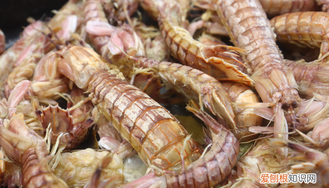 皮皮虾炸几分钟出锅 皮皮虾蒸几分钟就可以食用了