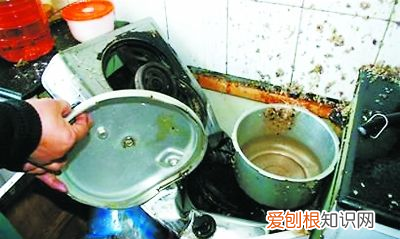 厨房有哪些危险物品，厨房里的害虫有哪些