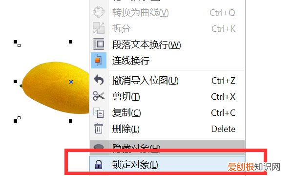 cdr抠图应该怎样进行操作，cdr怎么快速抠图照片背景