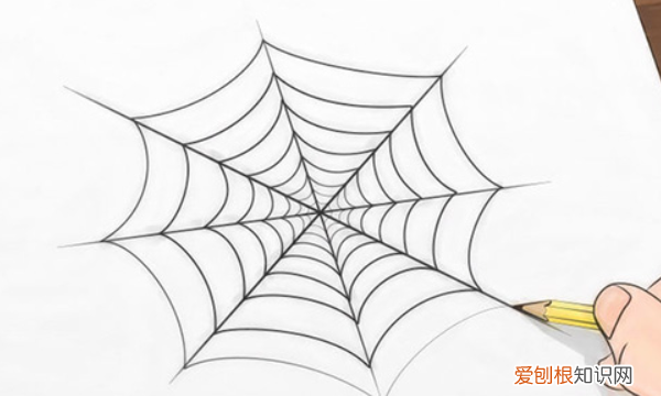 怎么画蜘蛛网，蜘蛛网的图画怎么画