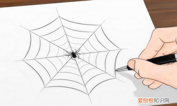 怎么画蜘蛛网，蜘蛛网的图画怎么画