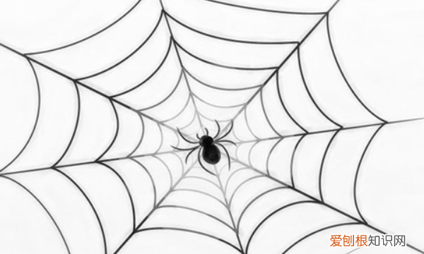 怎么画蜘蛛网，蜘蛛网的图画怎么画