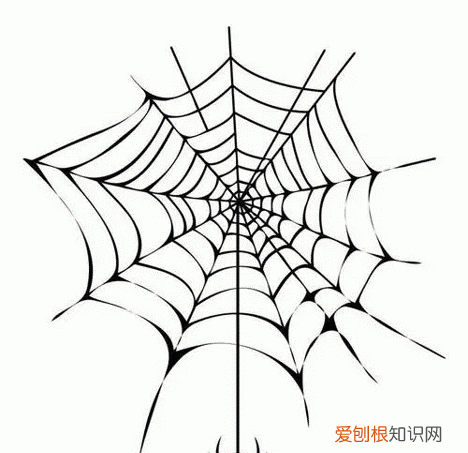 怎么画蜘蛛网，蜘蛛网的图画怎么画