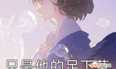 裴川贝瑶小说叫什么名字，裴川和贝瑶都是重生的小说