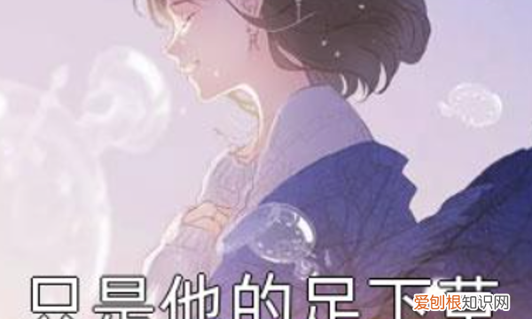 裴川贝瑶小说叫什么名字,裴川和贝瑶都是重生的小说