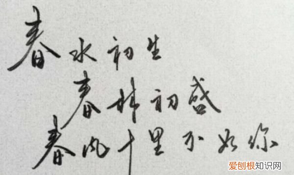 春风十里不如你的意思是啥，春风十里不如你是什么意思