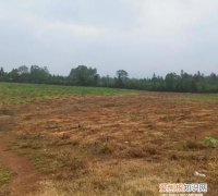 50亩地是多少平方米，50亿亩地是多少平方公里