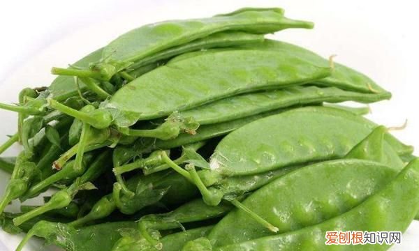 怎么确定荷兰豆是否熟，荷兰豆就是没有成熟的豌豆