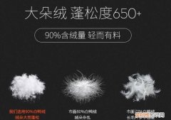 羽绒和鸭绒鹅绒有什么区别，白鸭绒和白鹅绒羽绒服有什么区别