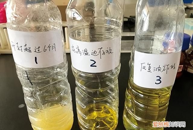 食用油储存多久会变质