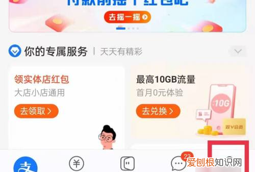 怎么查看支付宝余额，支付宝余额可以咋查看
