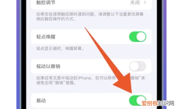 苹果手机怎么静音，苹果手机咋进行静音