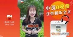 番茄小说封面尺寸多少，番茄小说封面一般多大尺寸
