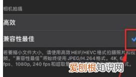 苹果像素不好怎么办，iphone拍照清晰度设置方法