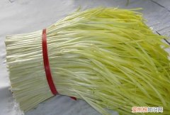 韭黄和蒜黄哪个好，韭黄和蒜黄是一样的吗