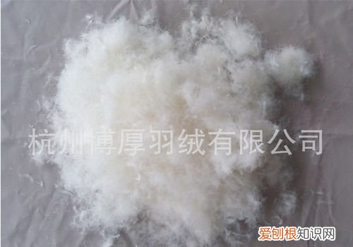 50白鸭绒是什么标准，90白鸭绒是什么档次