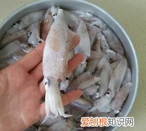 籽乌的做法，香爆籽乌的做法