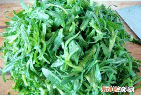 面条菜包饺子需要焯水