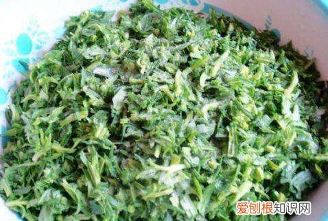 面条菜包饺子需要焯水