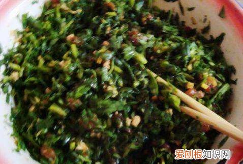 面条菜包饺子需要焯水
