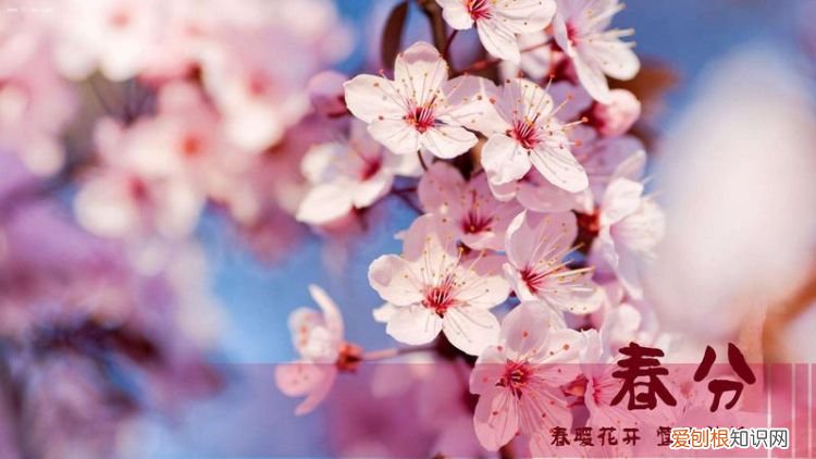 春分的由来，春分节气：春分是哪一天春分的由来及习俗等