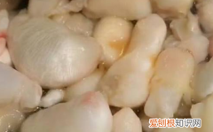 鱼泡怎么做好吃家常，鱼泡怎么做才好吃又简单