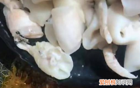 鱼泡怎么做好吃家常，鱼泡怎么做才好吃又简单