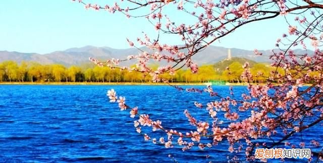 三年级语文下册古诗《忆江南》